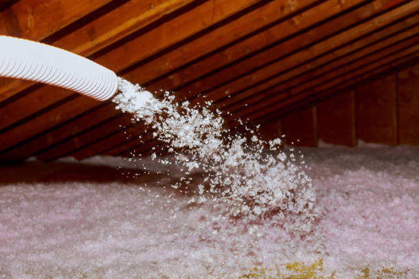 Best Residential Insulation in Loma Linda, CA