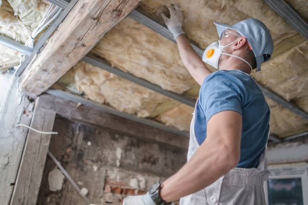 Best Eco-Friendly Insulation in Loma Linda, CA